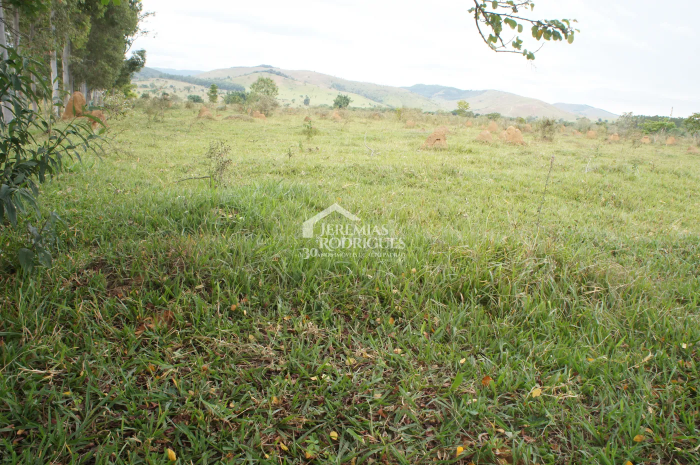 Terreno com 800.000 m² - Feital - Pindamonhangaba/SP.