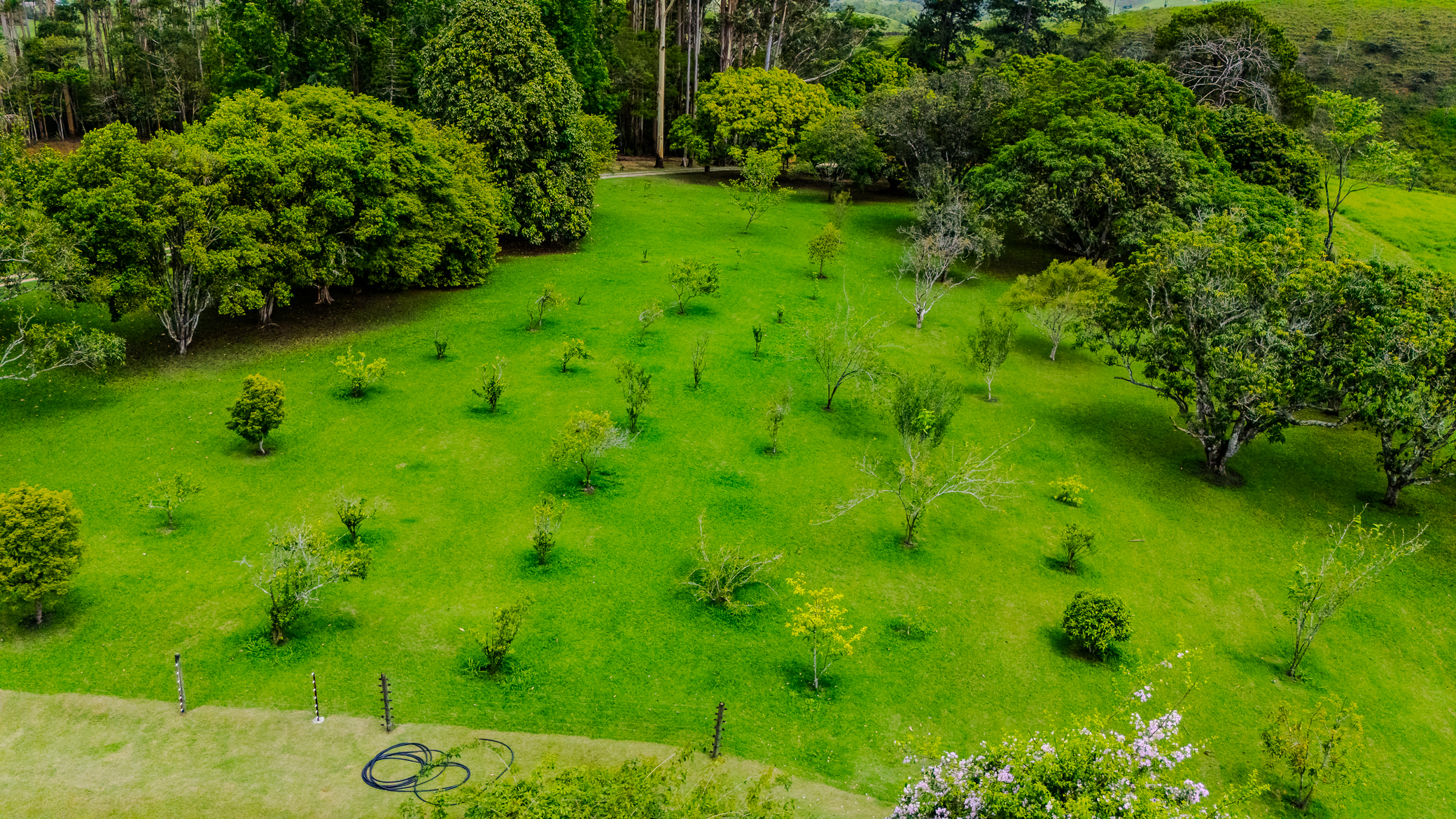 Fazenda à venda com 89,87 ha no bairro Piracuama em Pindamonhangaba/SP. 