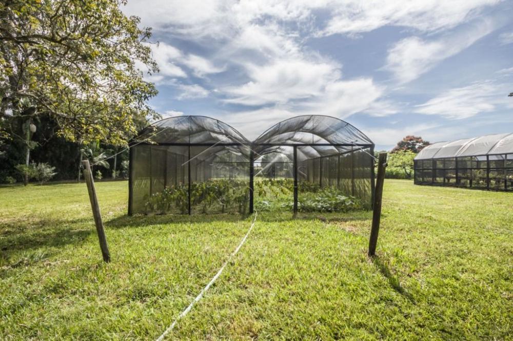 Sítio com 3 quartos, 59.895 m² no bairro Mandú em Pindamonhangaba/SP.
