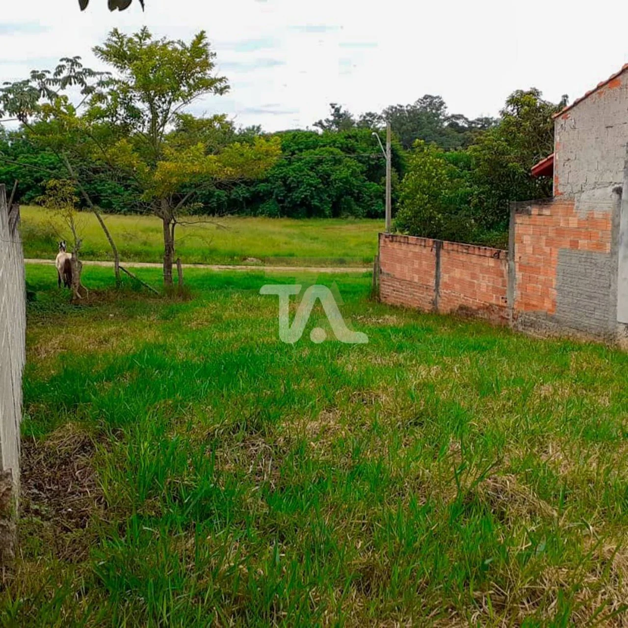 Terreno à venda 250m² no Vila Prado – Pindamonhangaba/SP