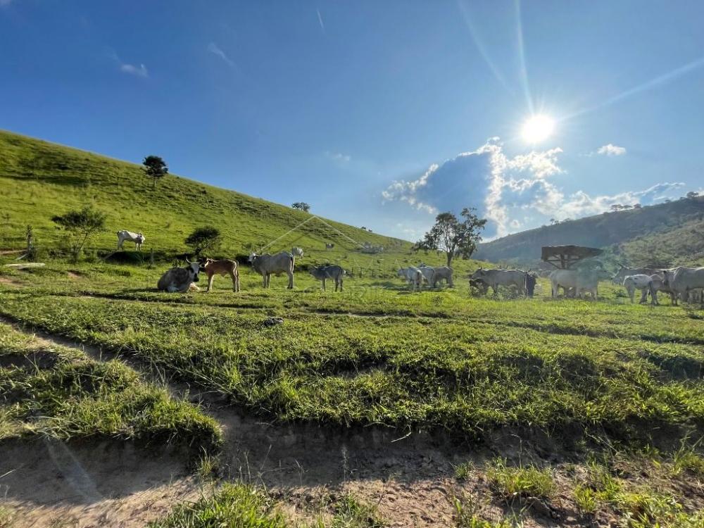 Fazenda à venda em Cunha/SP