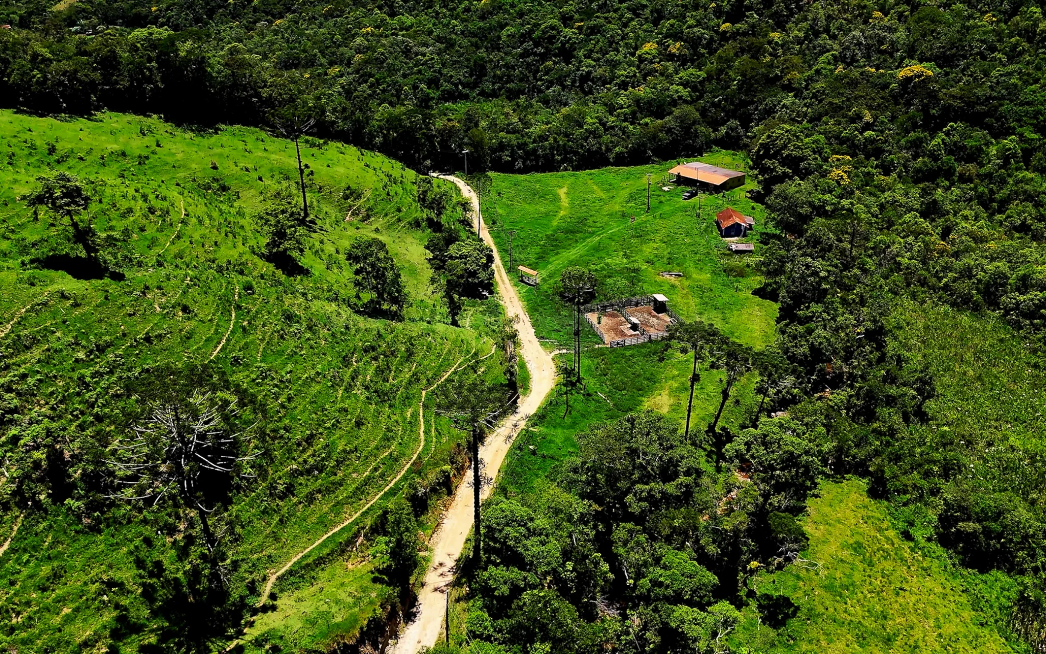 Fazenda à venda com 78 hectares em São José do Barreiro/SP. 