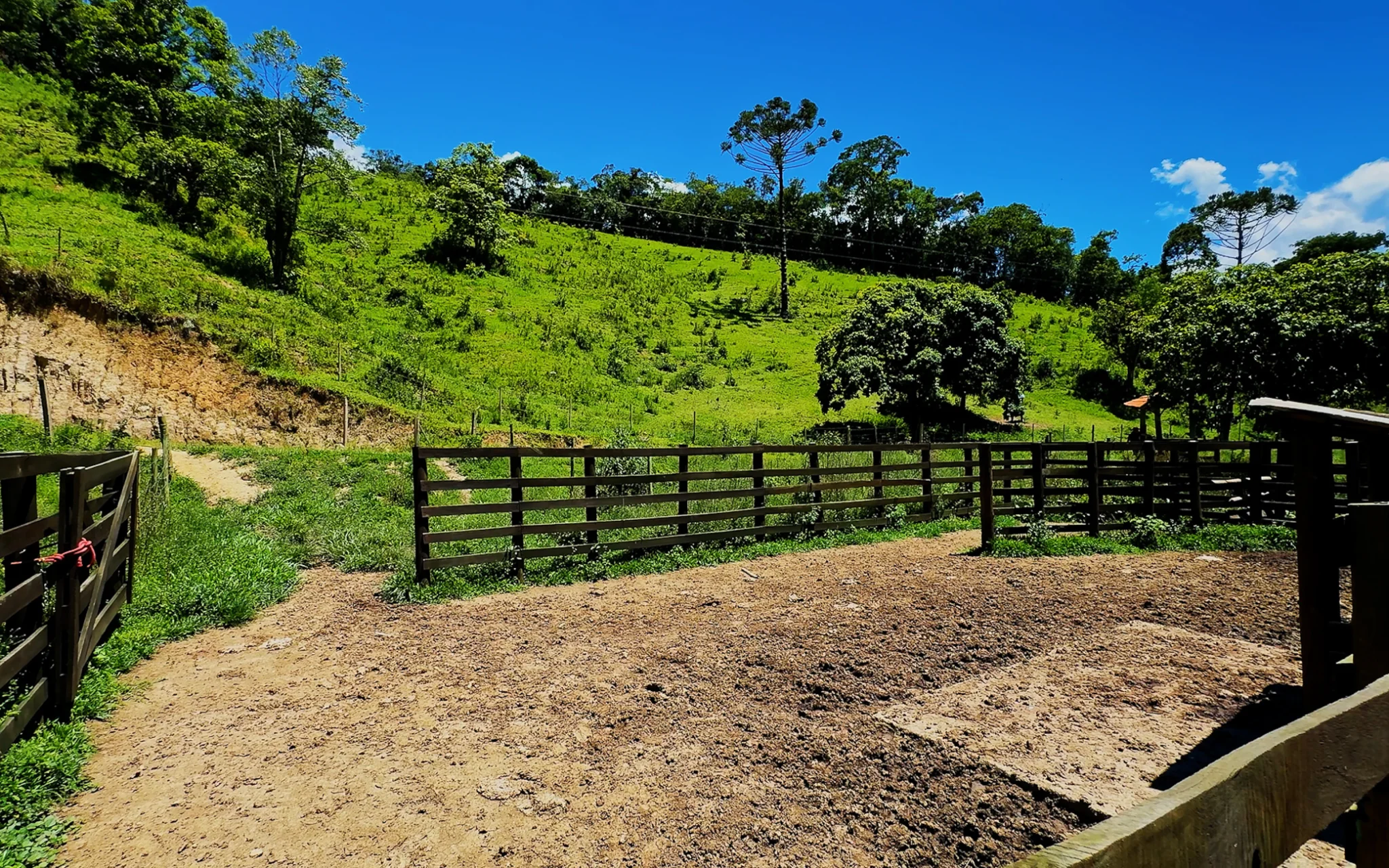 Fazenda à venda com 78 hectares em São José do Barreiro/SP. 