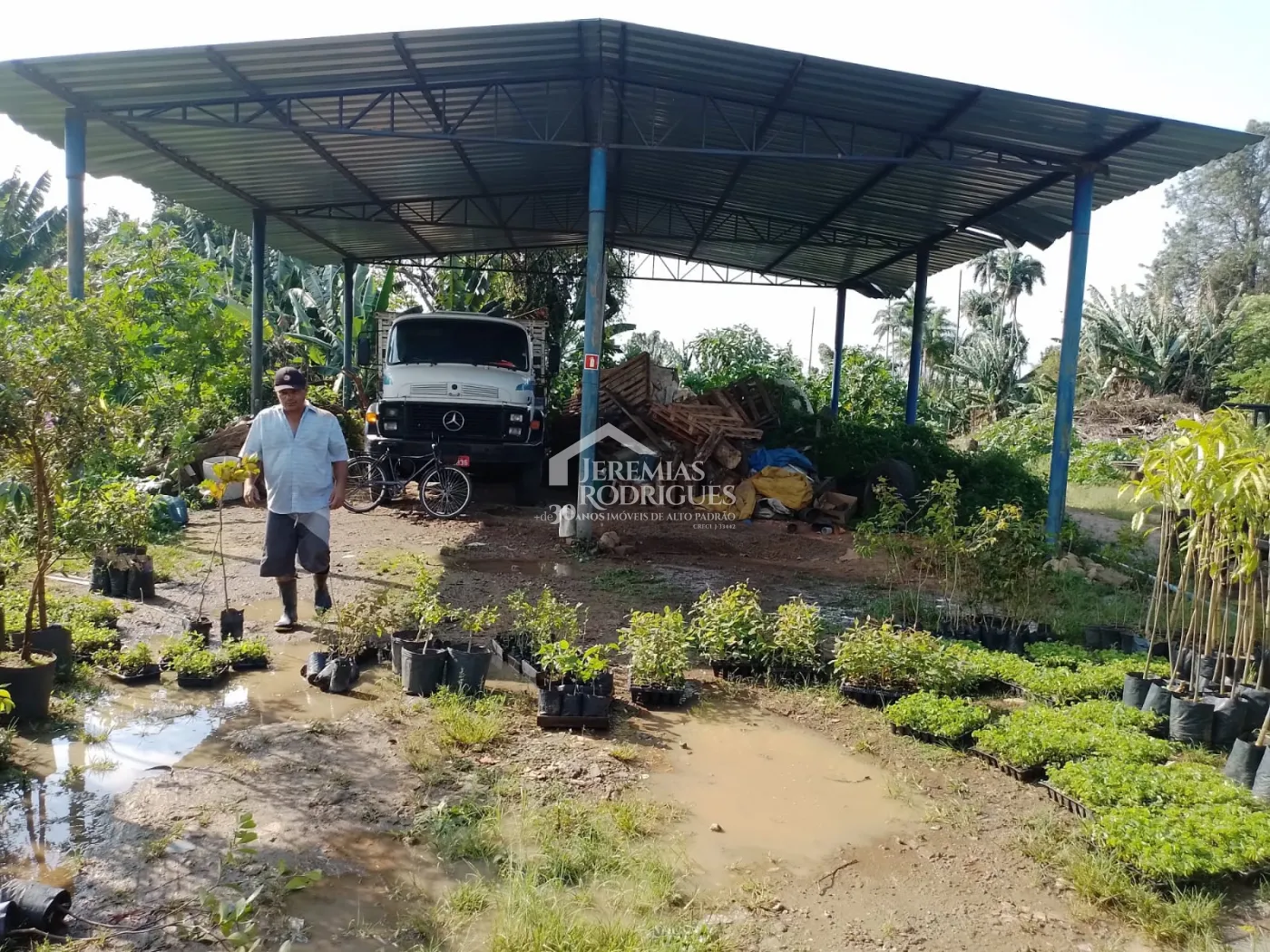 Terreno com 9.000 m² - Campinas - Pindamonhangaba/SP.