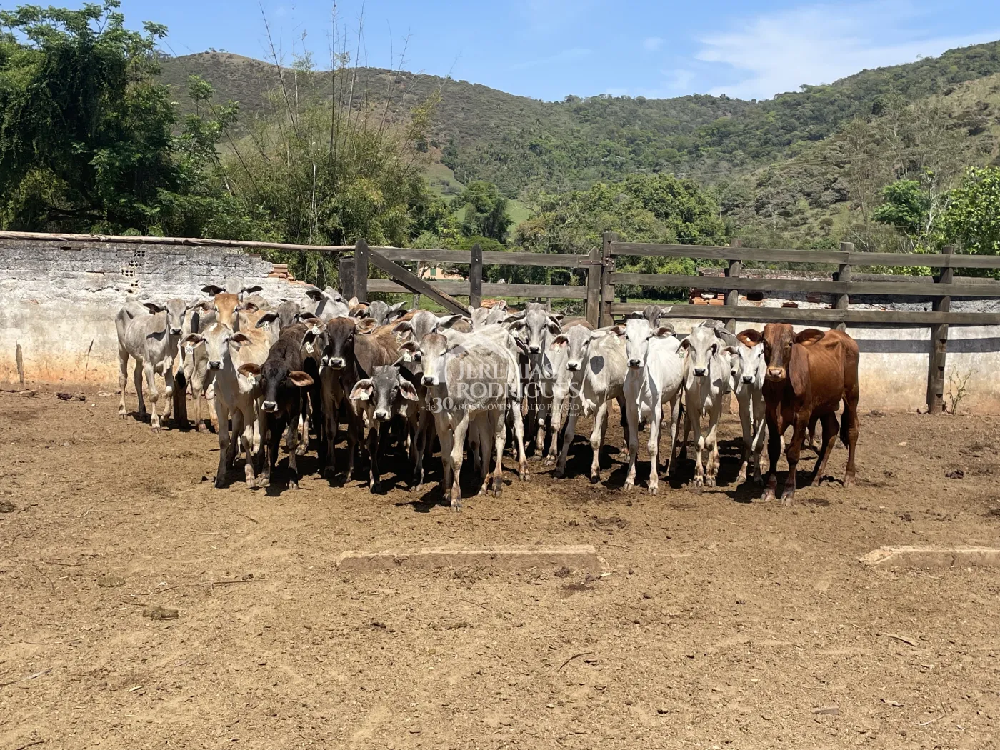 Fazenda à venda em Lorena/SP
