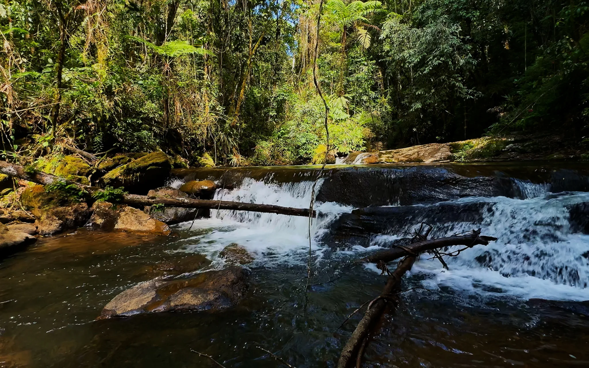 Fazenda à venda com 78 hectares em São José do Barreiro/SP. 