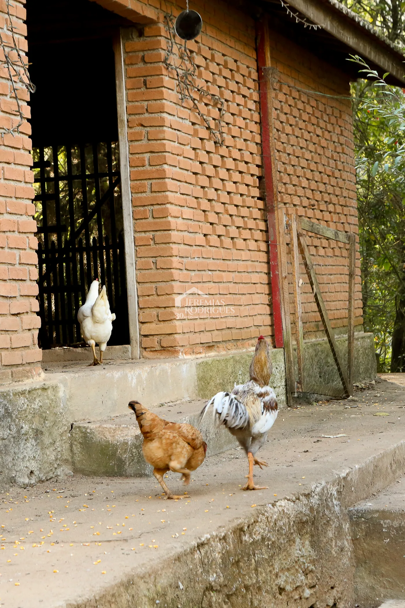 Chácara à venda no bairro do Sapucaí, em Sapucaí-Mirim/MG.