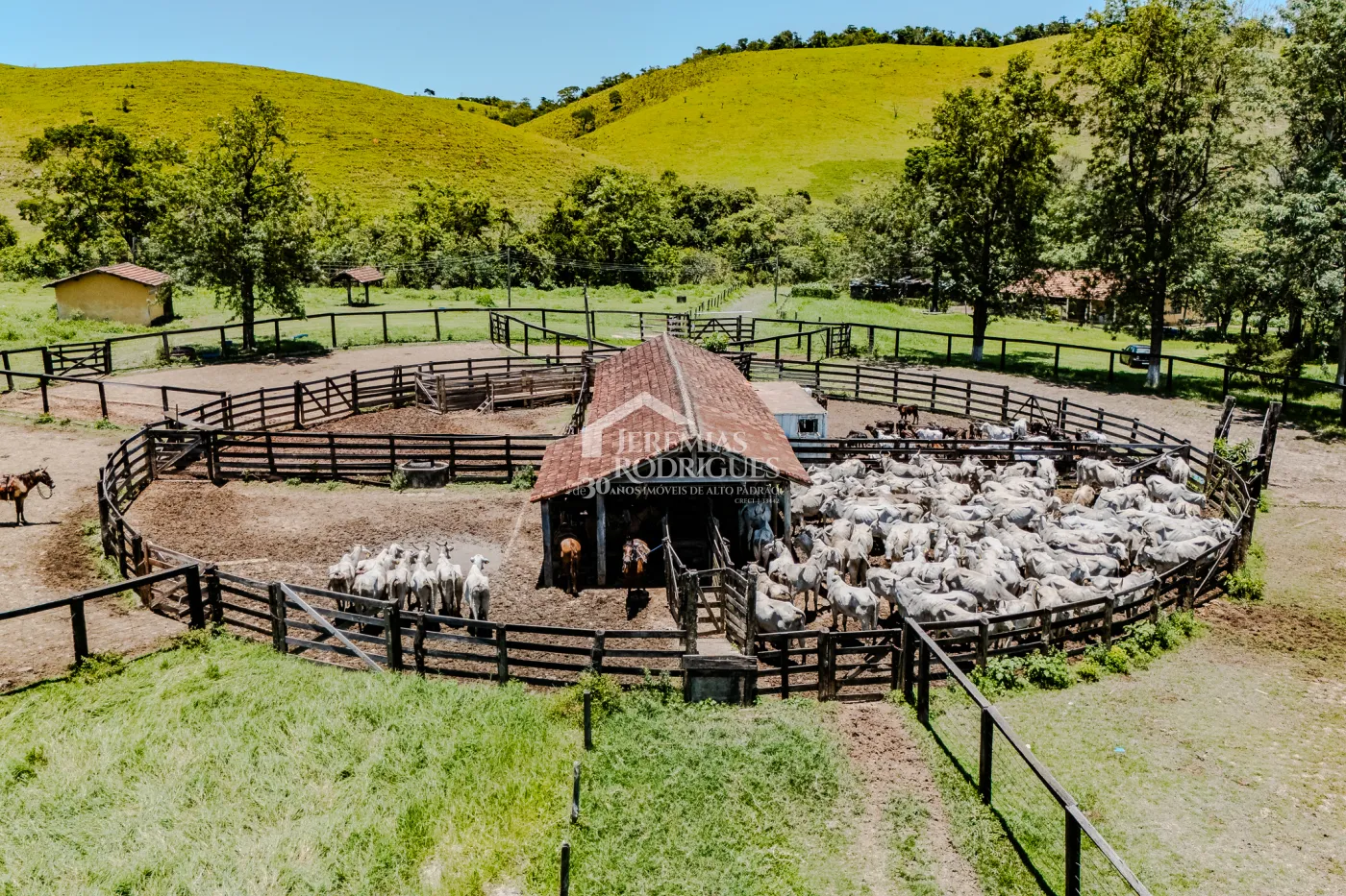 Fazenda à venda com 919,6 hectares em Cachoeira Paulista/SP.