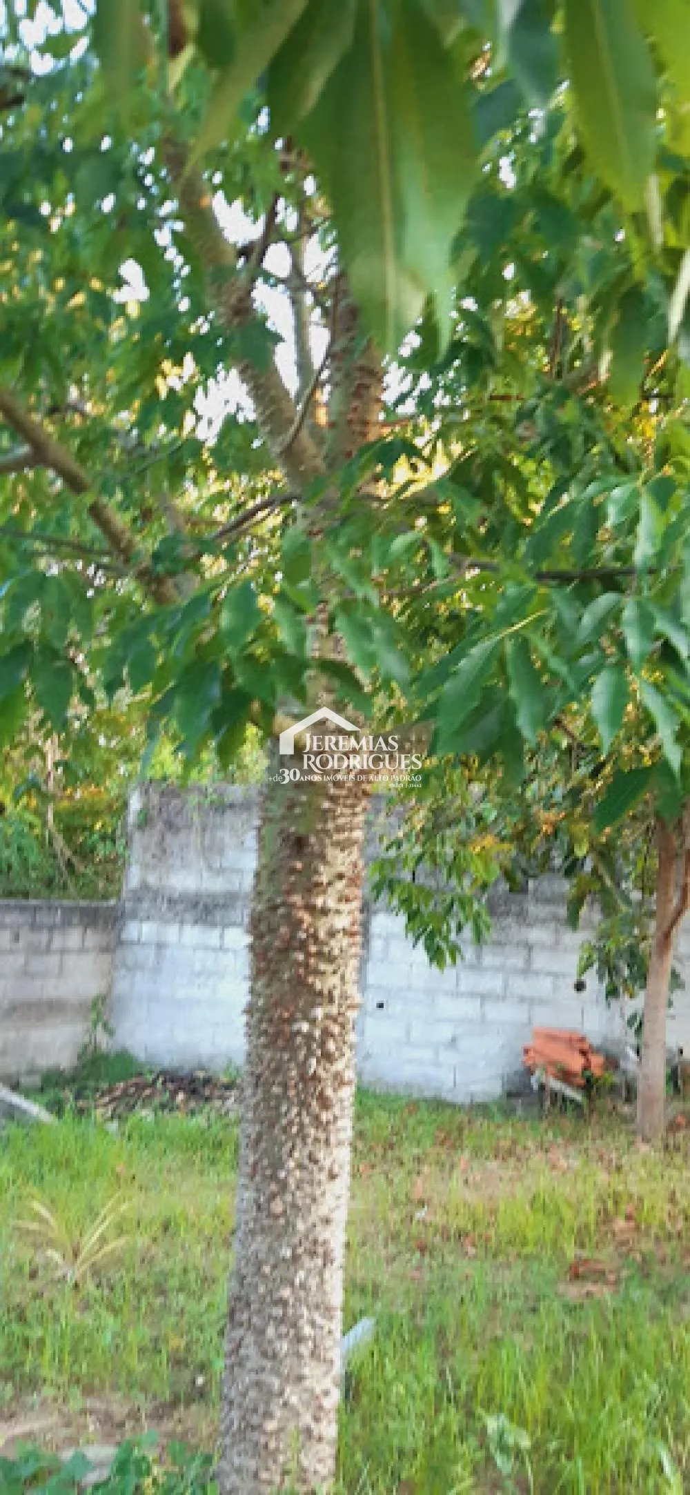Terreno, 500 m², à venda por R$ 320.000- Quiririm - Taubaté/SP