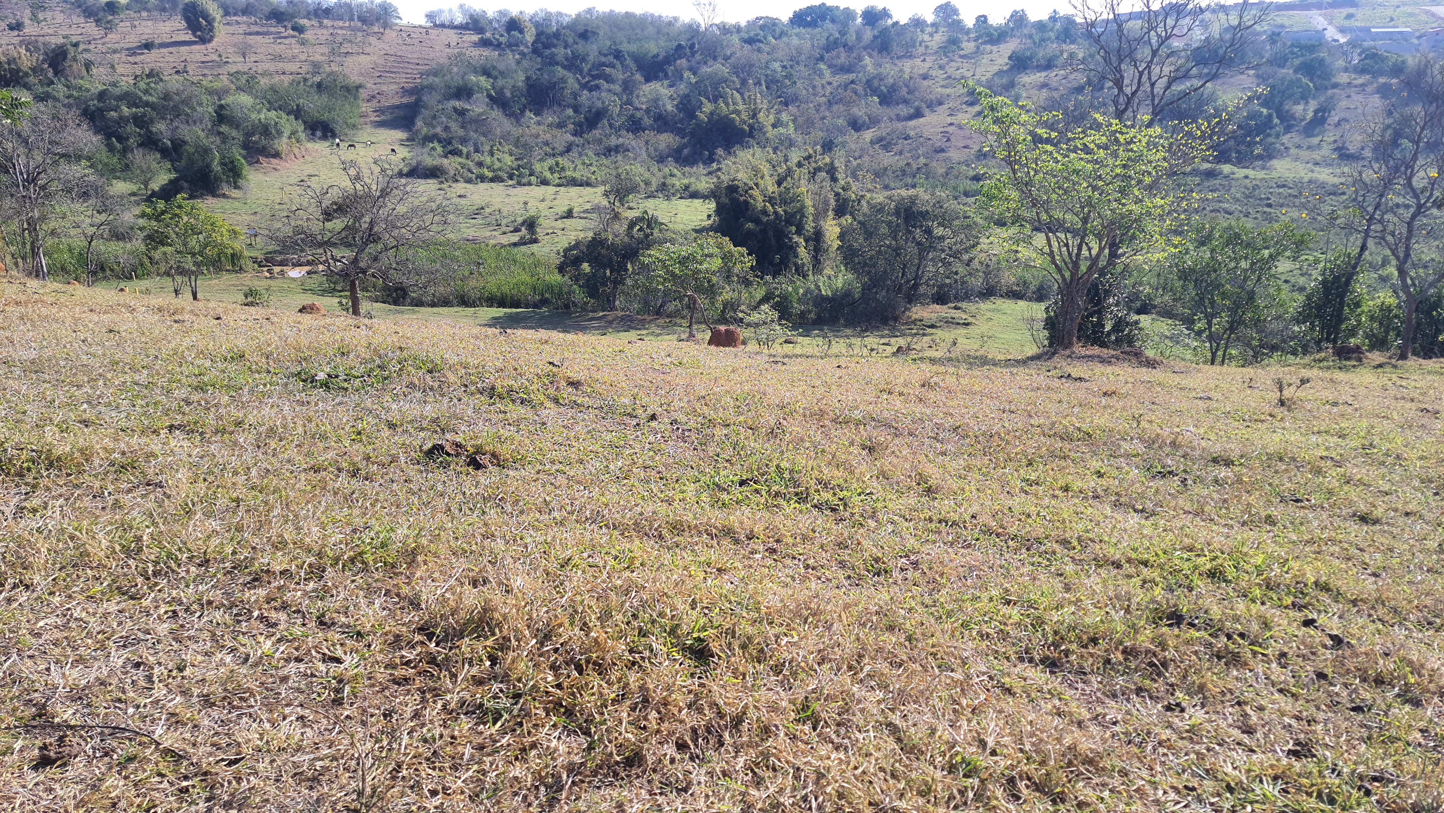Área à venda com 220.000 m² no bairro Cataguá em Taubaté/SP.