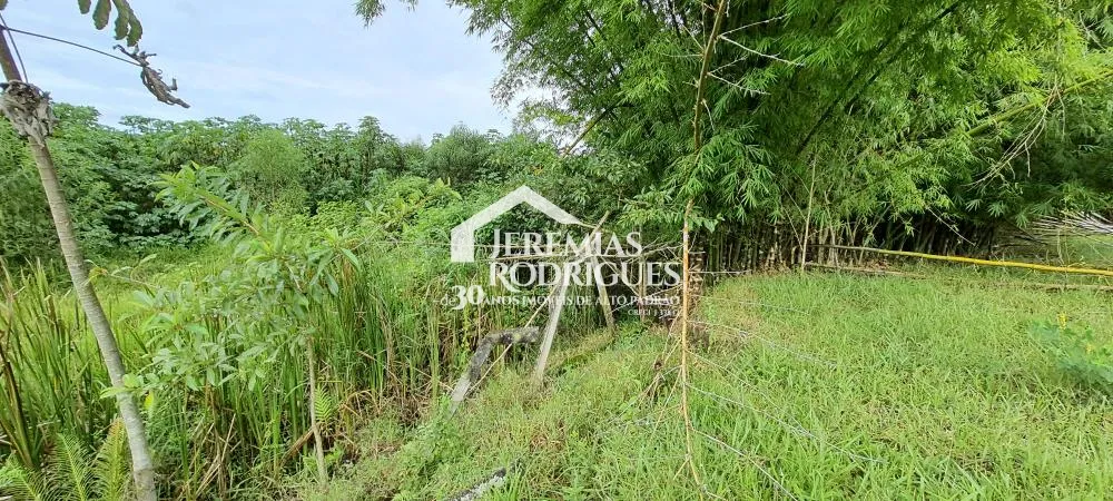 Terreno misto de 24627 m² à venda por R$ 5.390.000,00 - Taubaté/SP