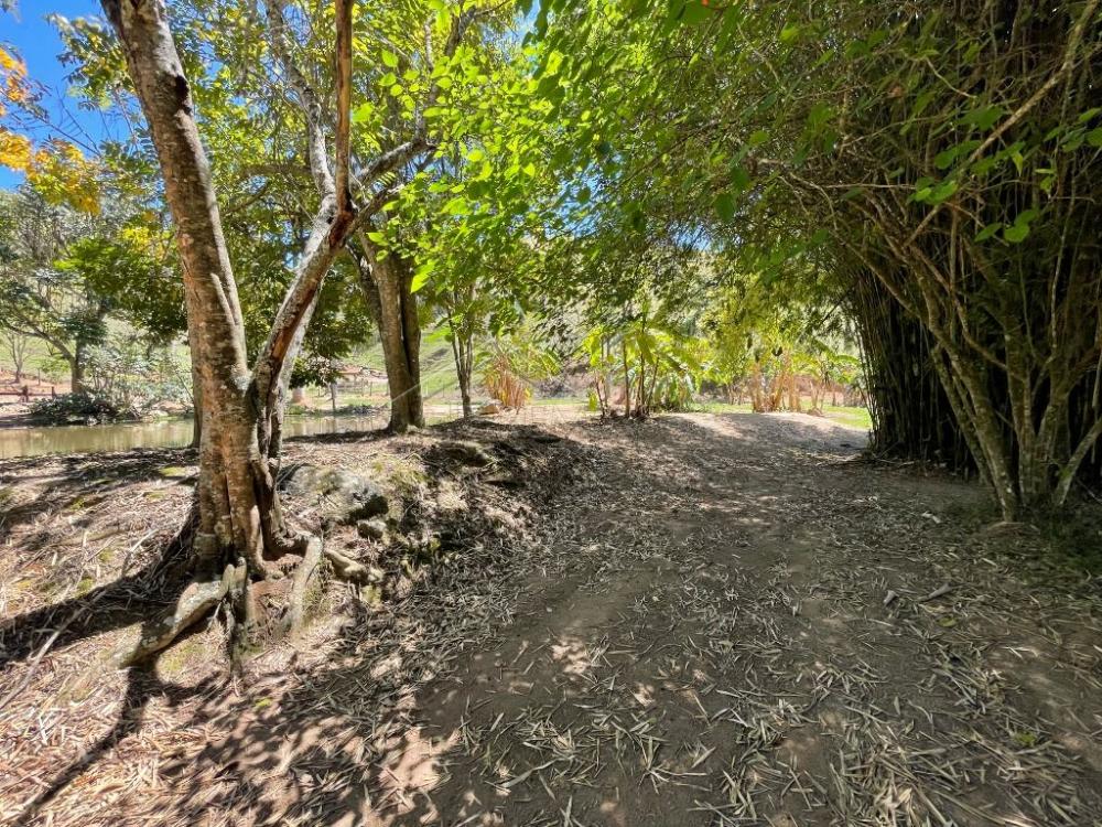 Fazenda com 2 quartos, 2.553.500 m², à venda por R$ 5.800.000- Lorena - Lorena/SP