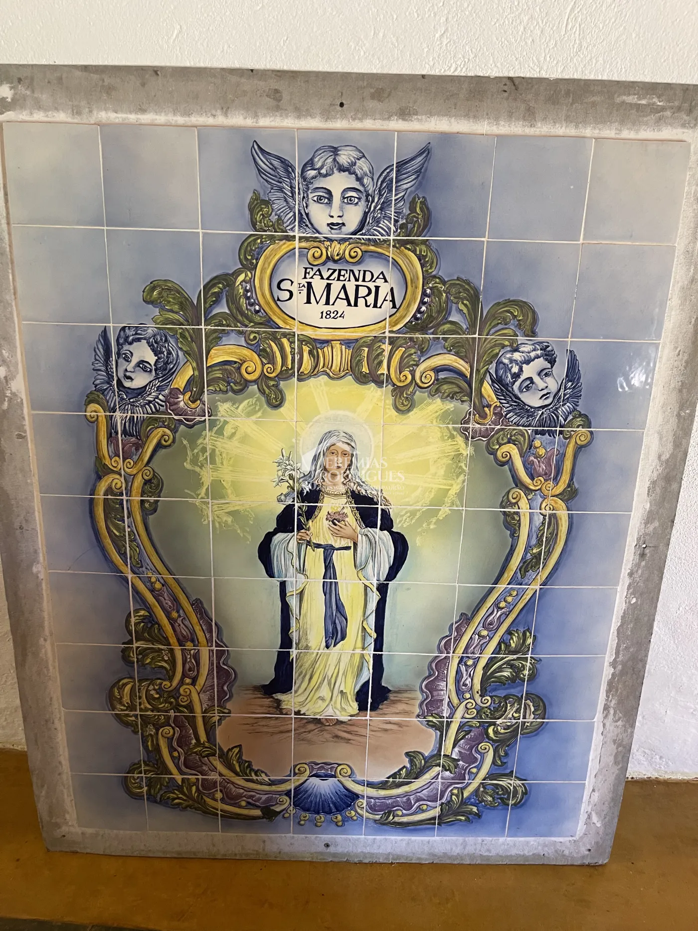 Fazenda com 12 dormitórios - Taubaté/SP