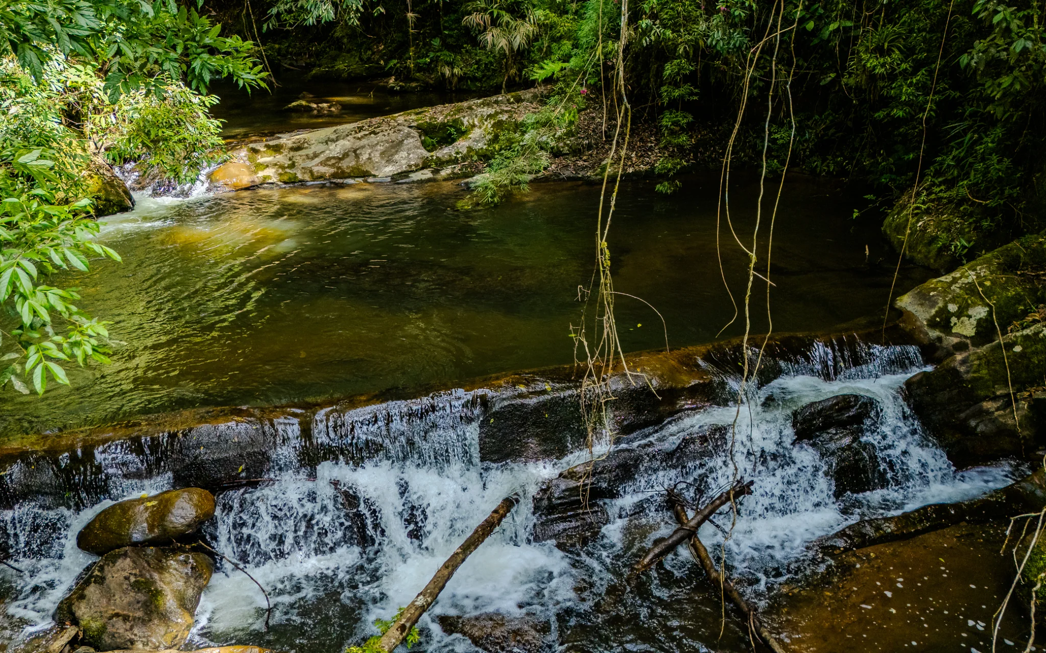 Fazenda à venda com 78 hectares em São José do Barreiro/SP. 