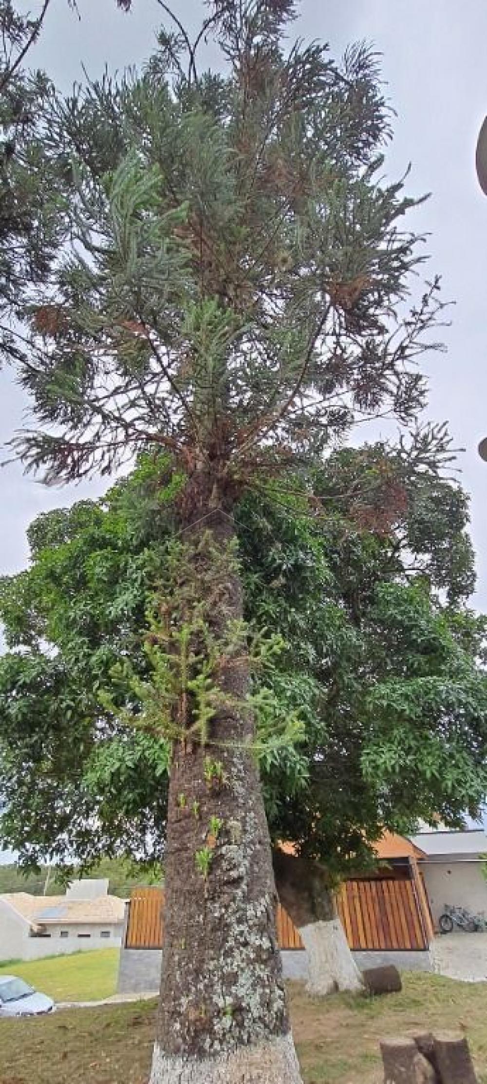 Casa à venda com 3 suítes no Condomínio Parque das Araucárias em Tremembé/SP.