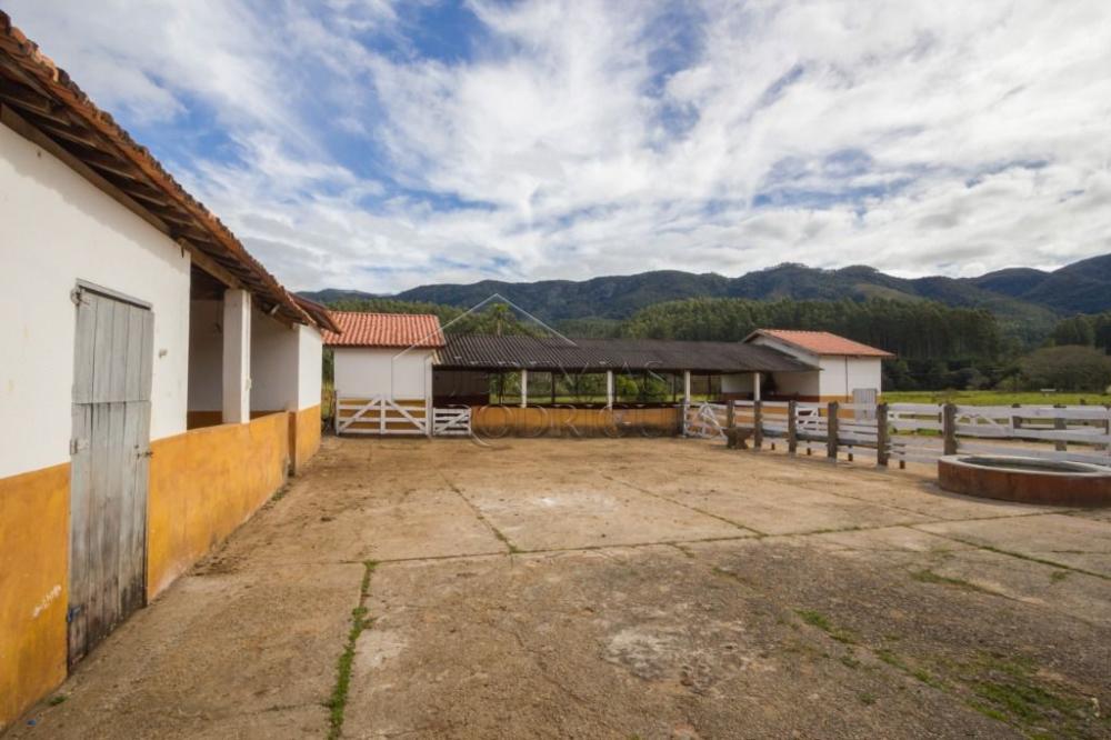Fazenda com 4 dormitórios à venda, 968.000 m² - Lagoinha/SP