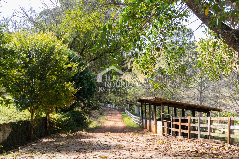 Fazenda com 314 hectares em Cunha/SP