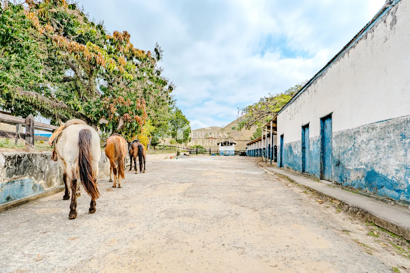 Fazenda à venda com 400 alqueires em São Jose do Barreiro/SP.