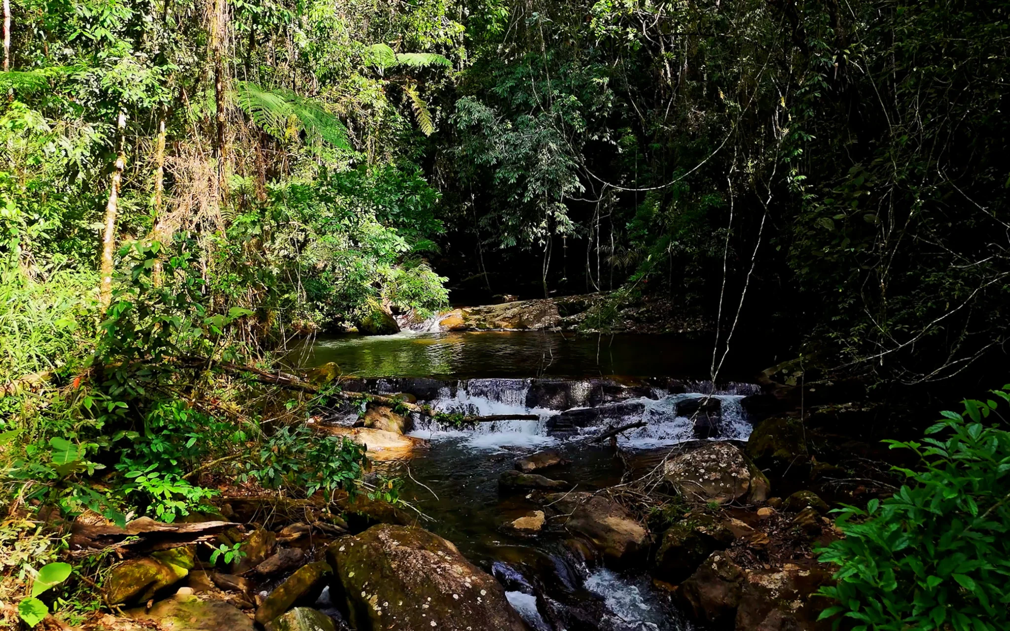 Fazenda à venda com 78 hectares em São José do Barreiro/SP. 