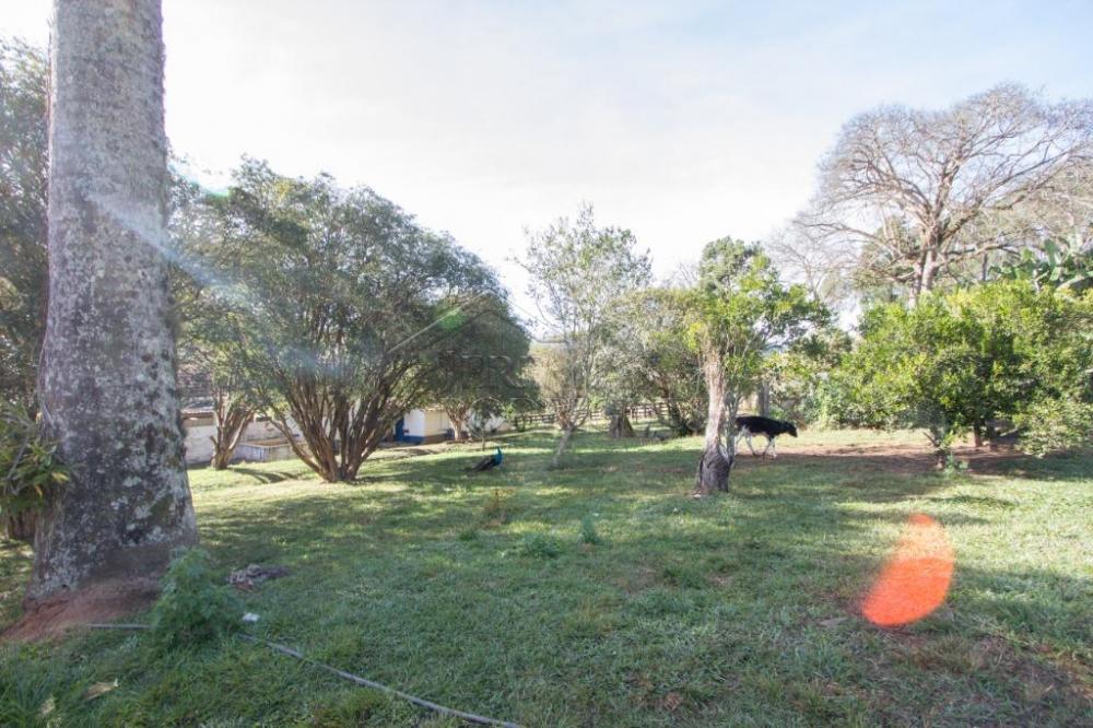 Rural misto à venda por R$ 4.500.000,00 - Lagoinha/SP