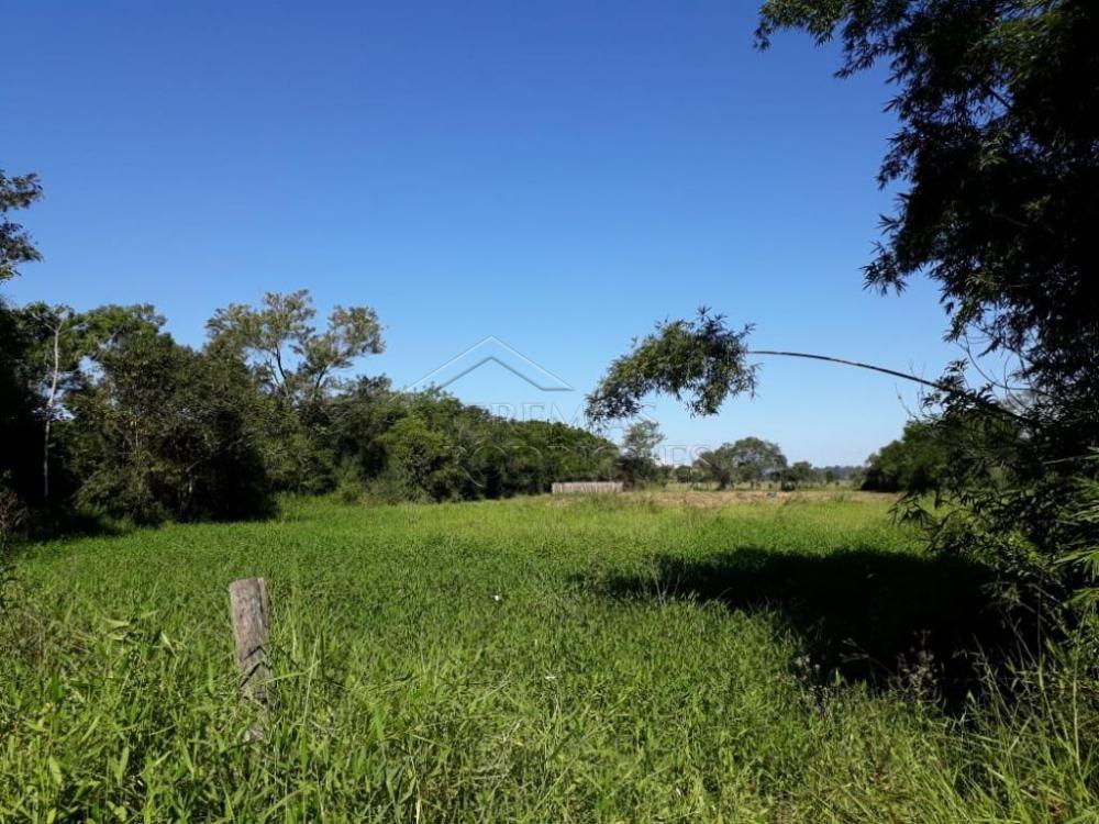 Rural misto à venda por R$ 1.500.000,00 - Pindamonhangaba/SP