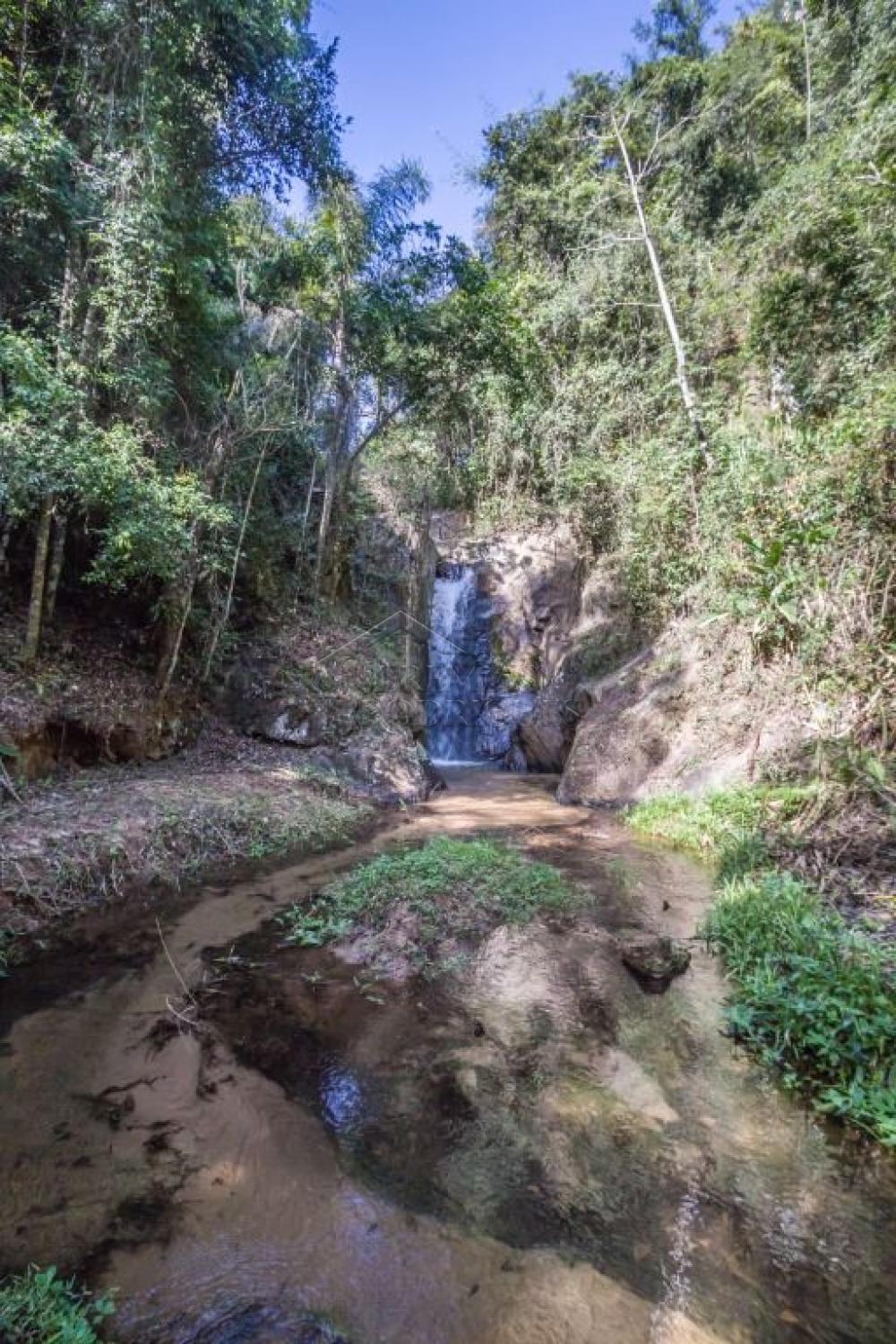 Rural misto à venda por R$ 20.000.000,00 - Roseira/SP